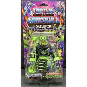 MOTU Masters of the Universe Origins Turtles of Grayskull Skeletor TMNT New